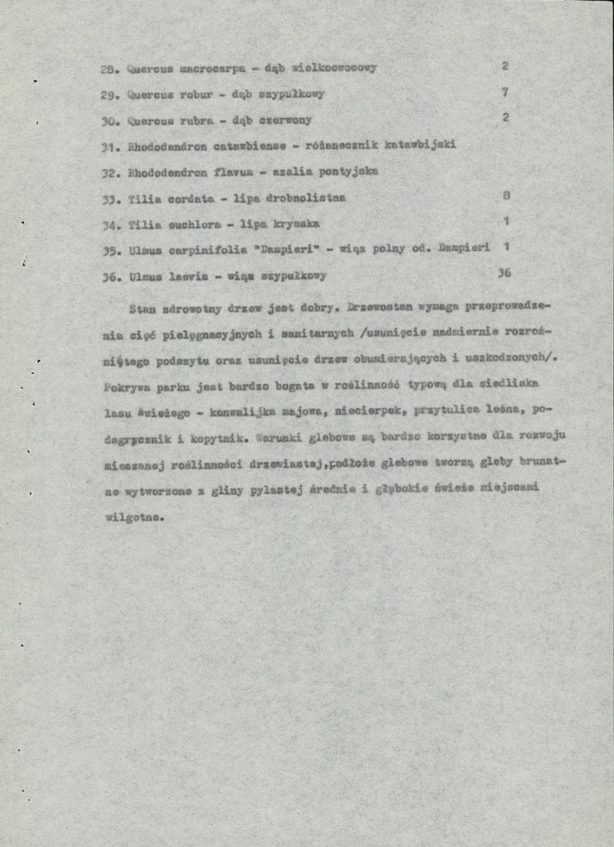 Ewidencja parkowa, skan nr 13