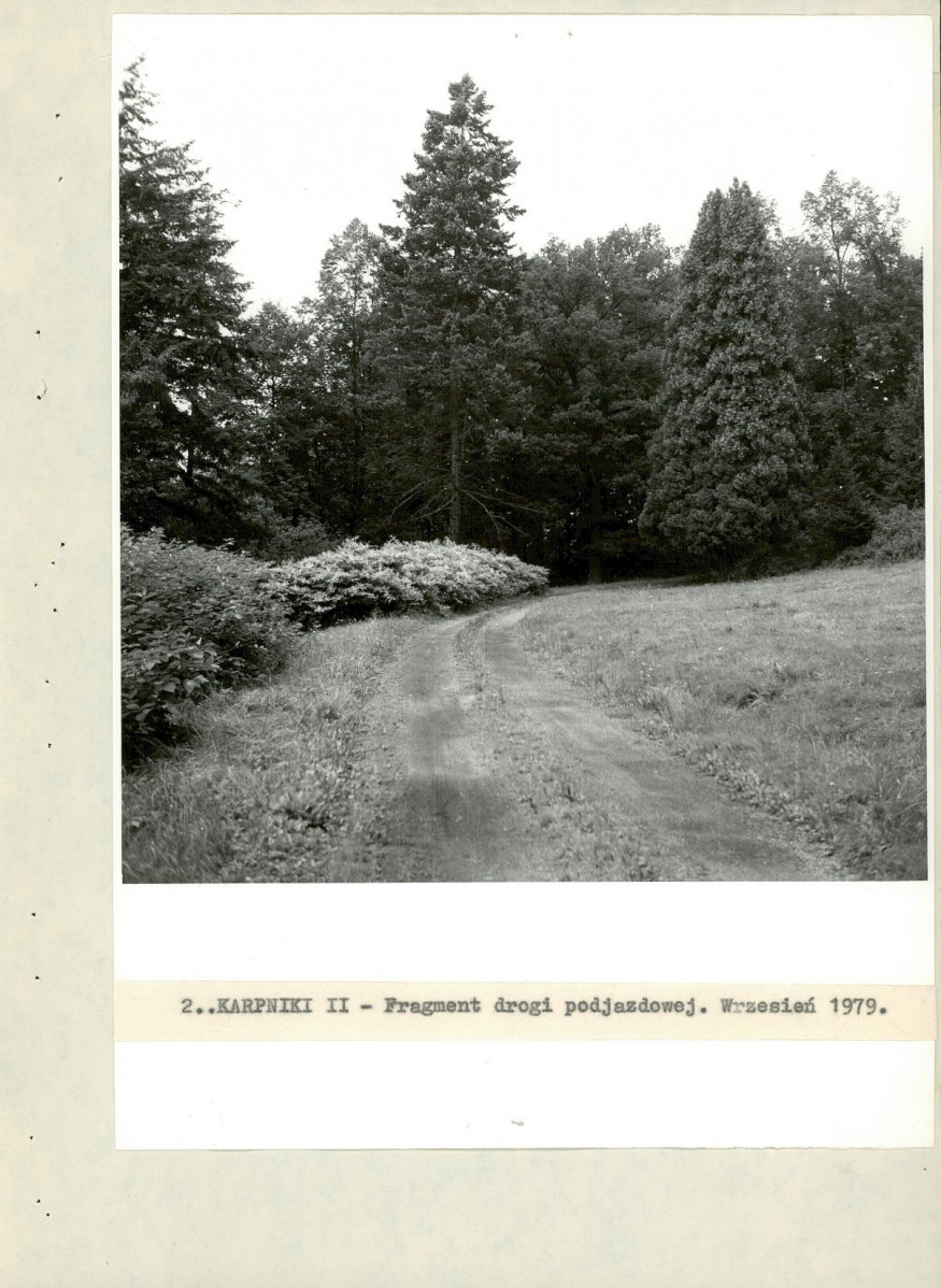 Ewidencja parkowa, skan nr 16