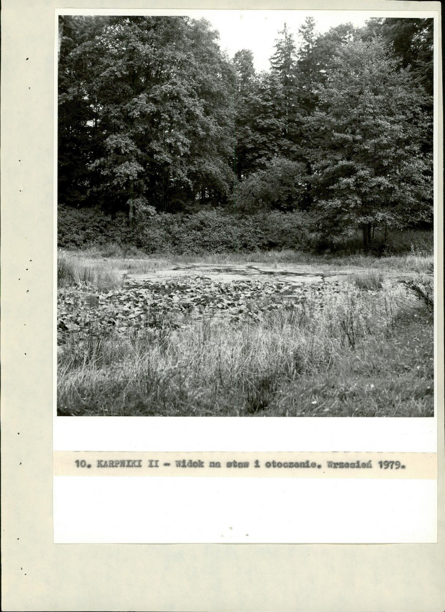 Ewidencja parkowa, skan nr 24