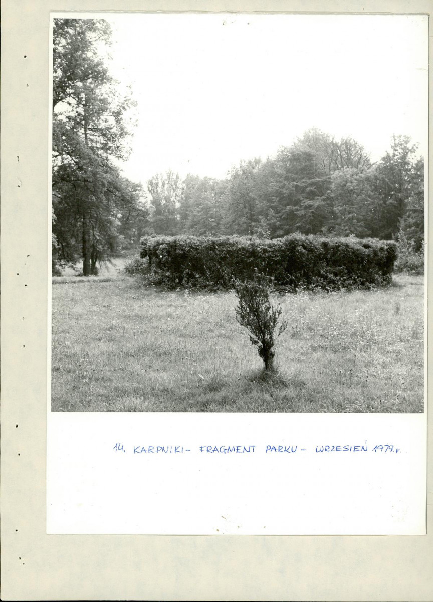 Ewidencja parkowa, skan nr 28