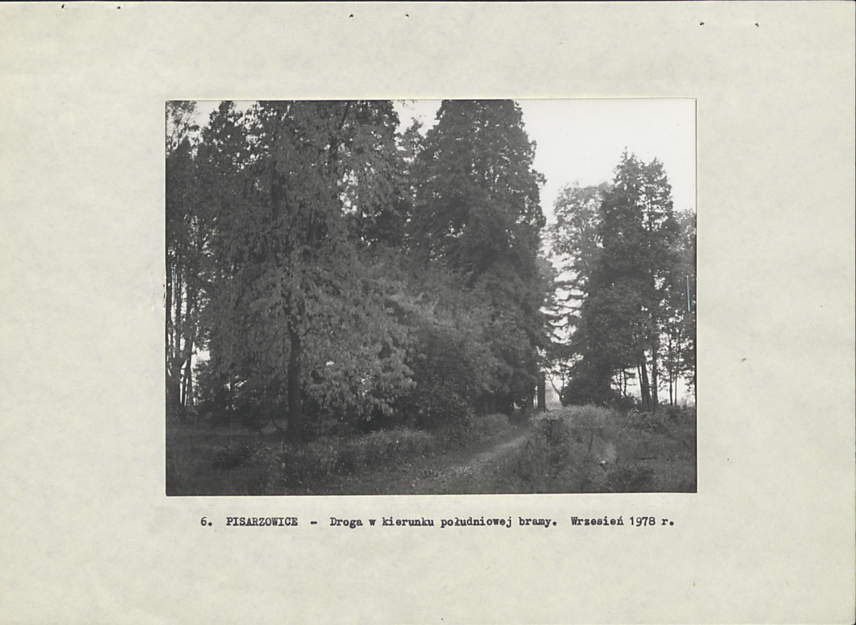 Ewidencja parkowa, skan nr 19