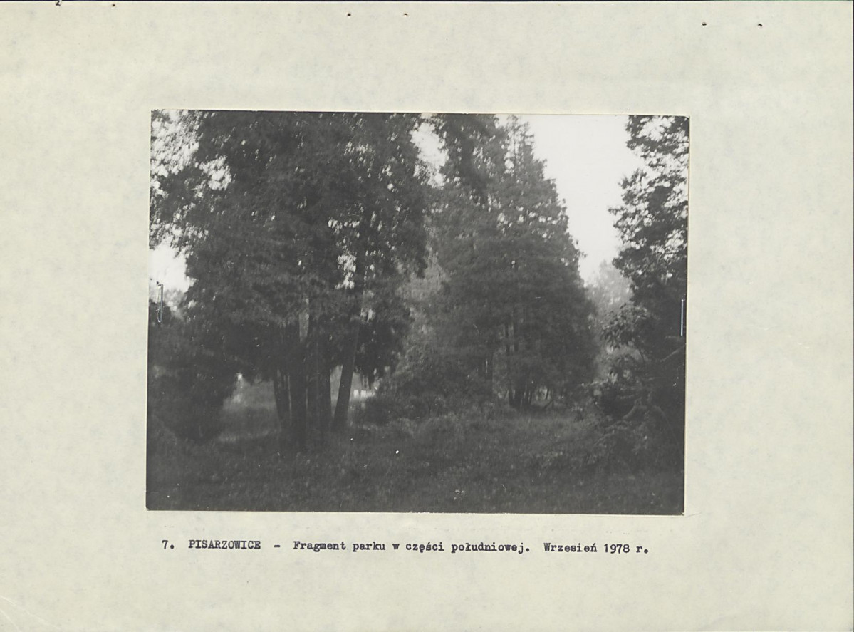 Ewidencja parkowa, skan nr 20