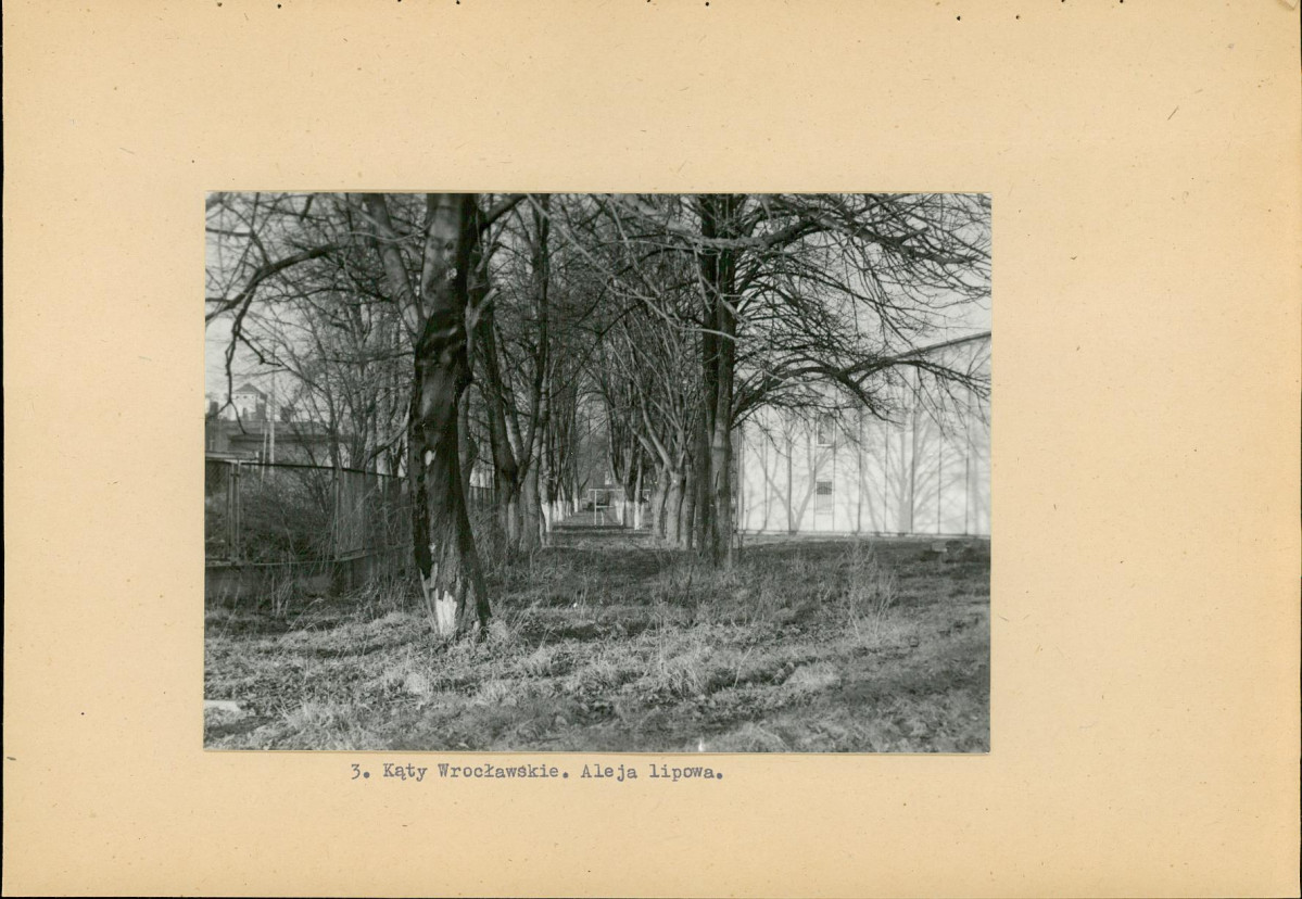 Ewidencja parkowa, skan nr 16