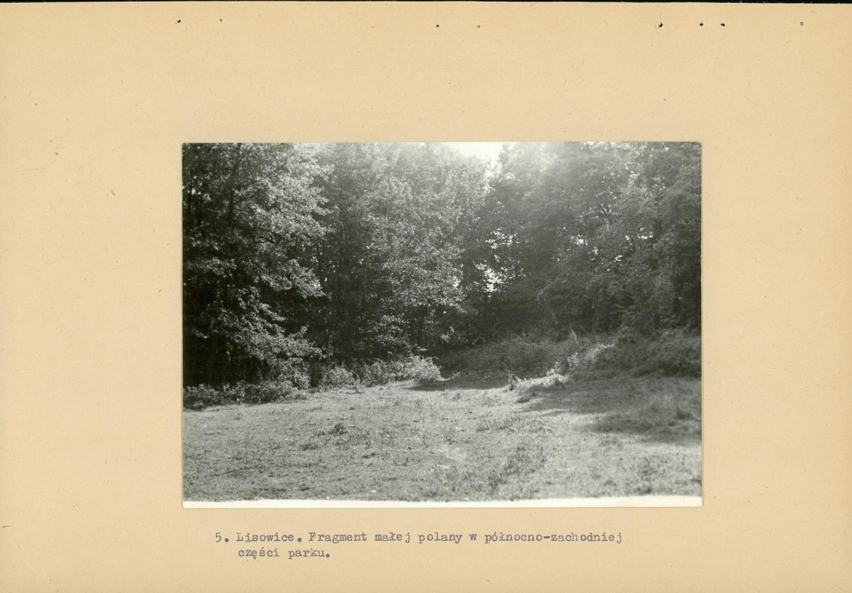 Ewidencja parkowa, skan nr 18