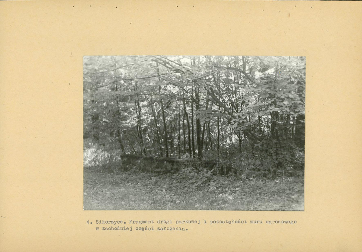 Ewidencja parkowa, skan nr 20