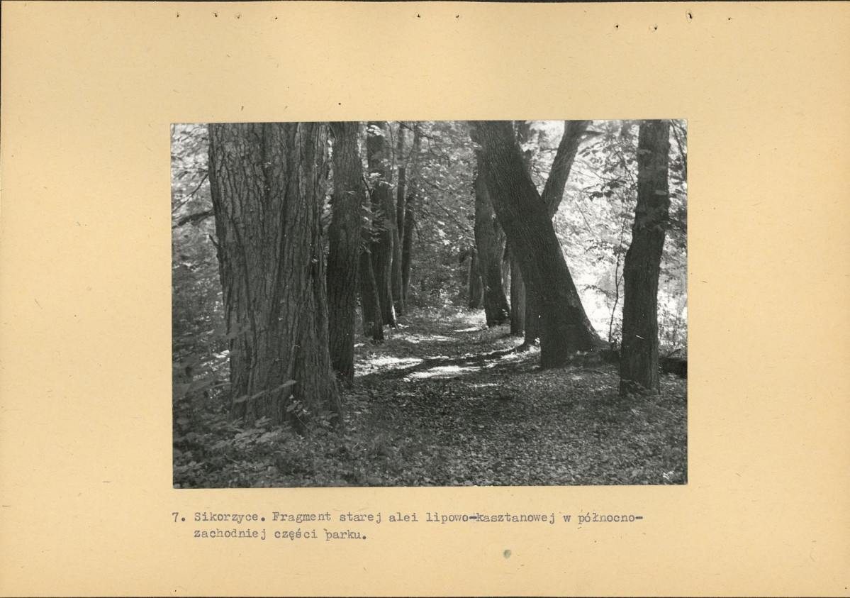 Ewidencja parkowa, skan nr 23