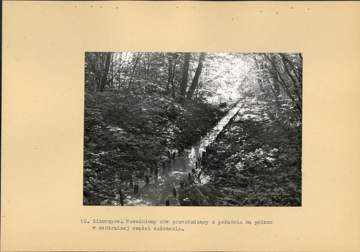 Ewidencja parkowa, skan nr 26