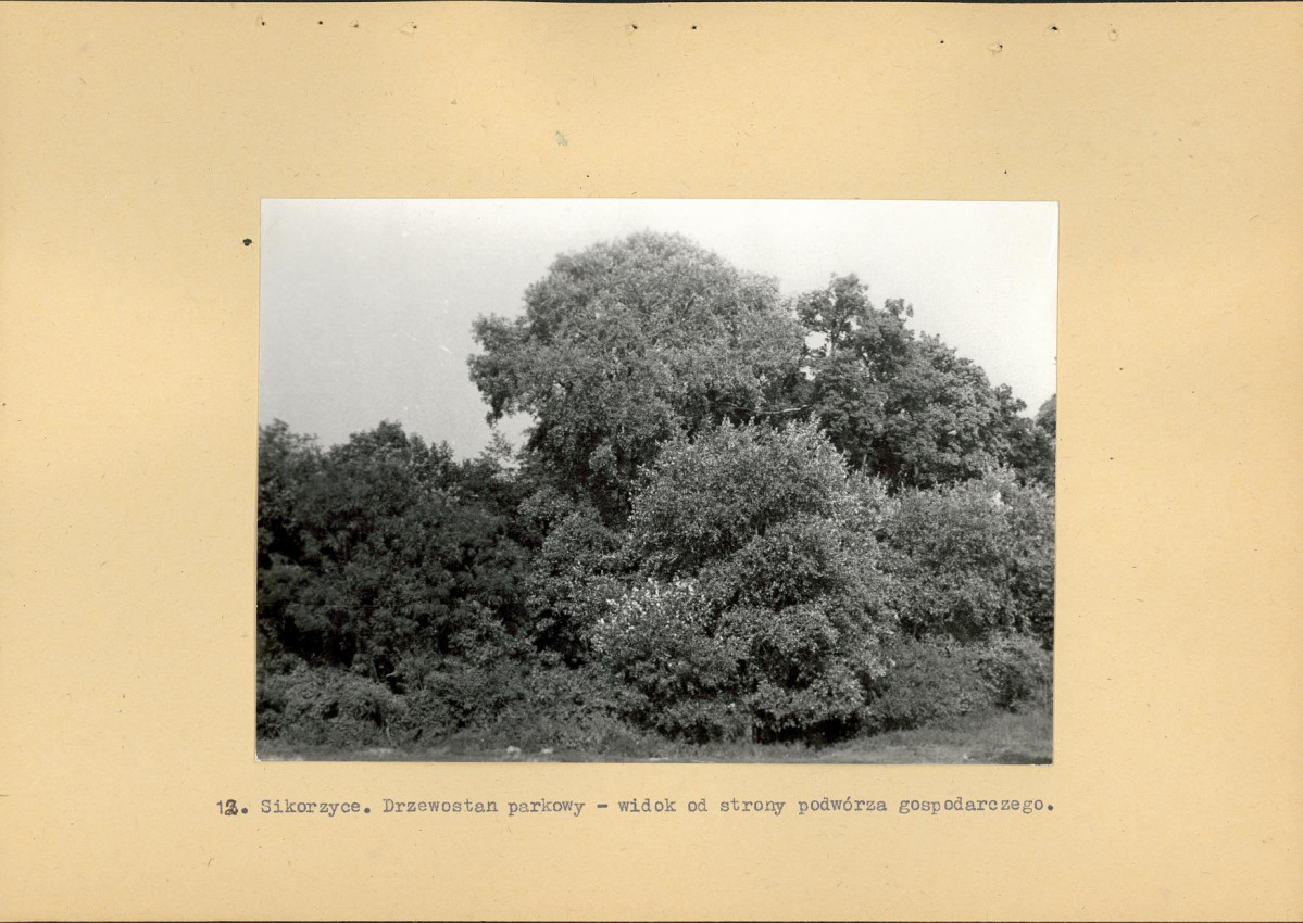 Ewidencja parkowa, skan nr 28