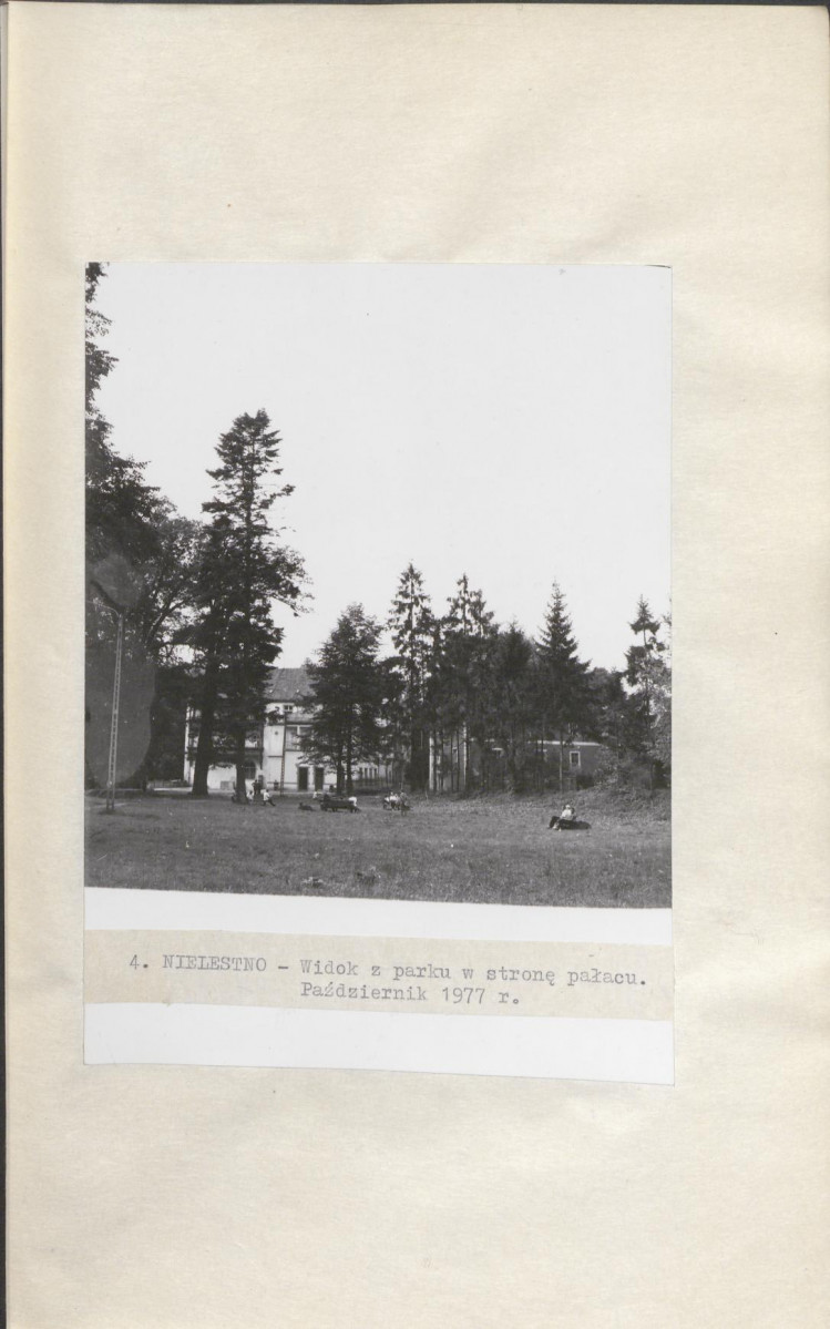 Ewidencja parkowa, skan nr 25