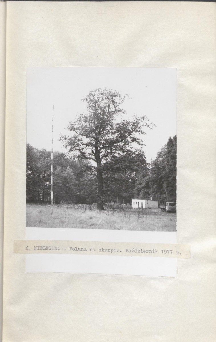 Ewidencja parkowa, skan nr 27