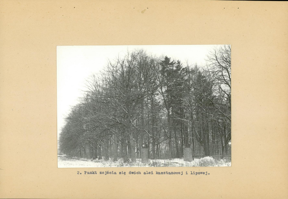 Ewidencja parkowa, skan nr 13