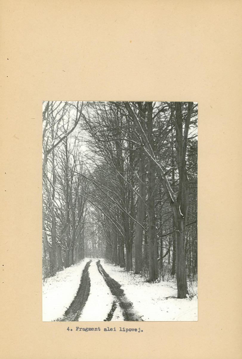 Ewidencja parkowa, skan nr 15