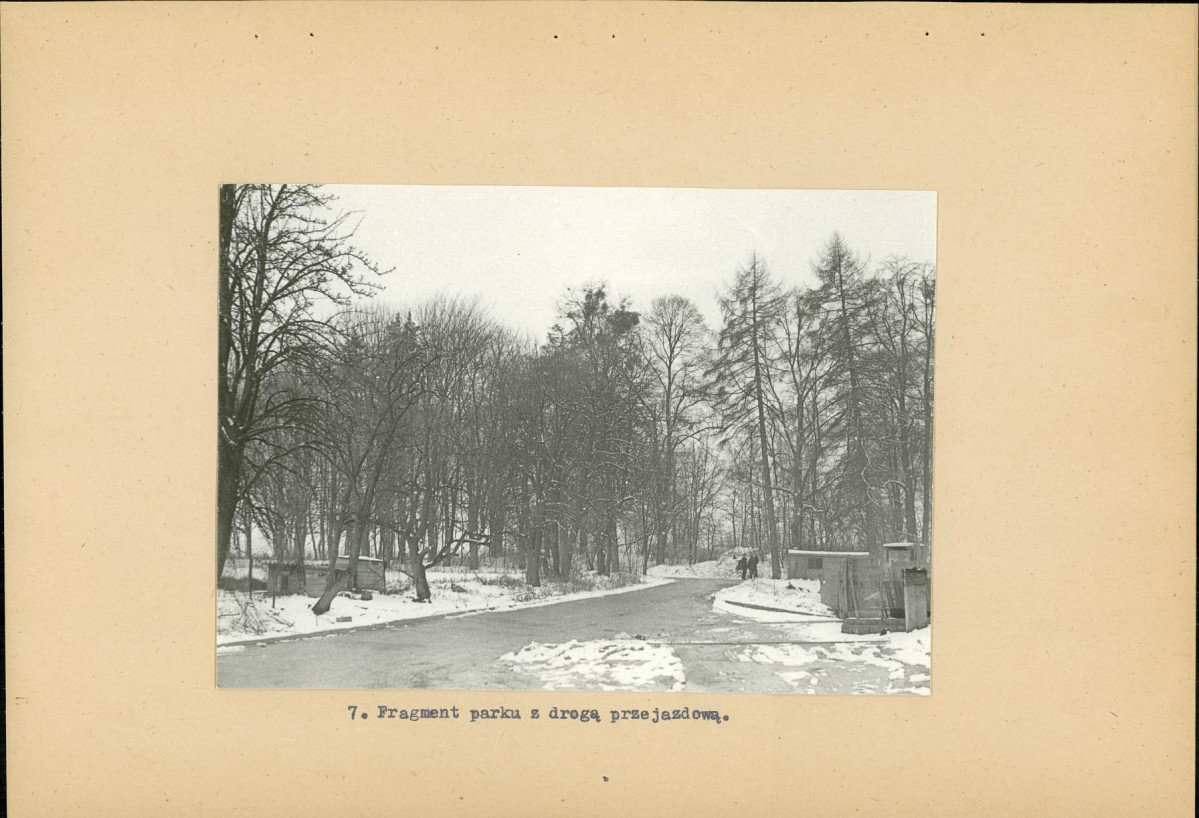 Ewidencja parkowa, skan nr 18