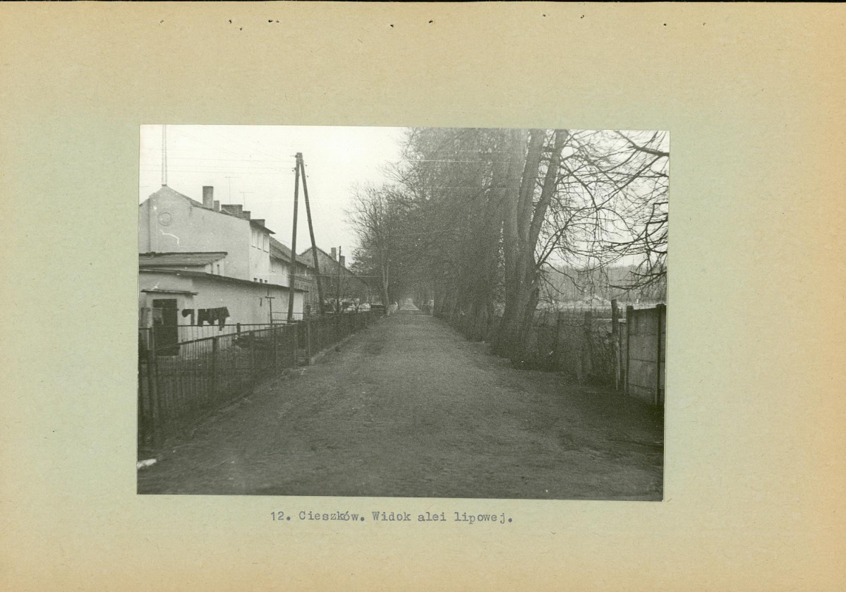 Ewidencja parkowa, skan nr 31
