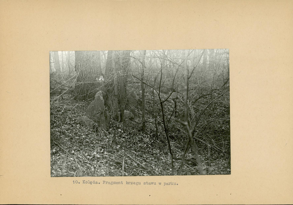 Ewidencja parkowa, skan nr 23