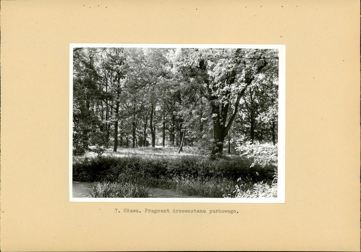 Ewidencja parkowa, skan nr 26