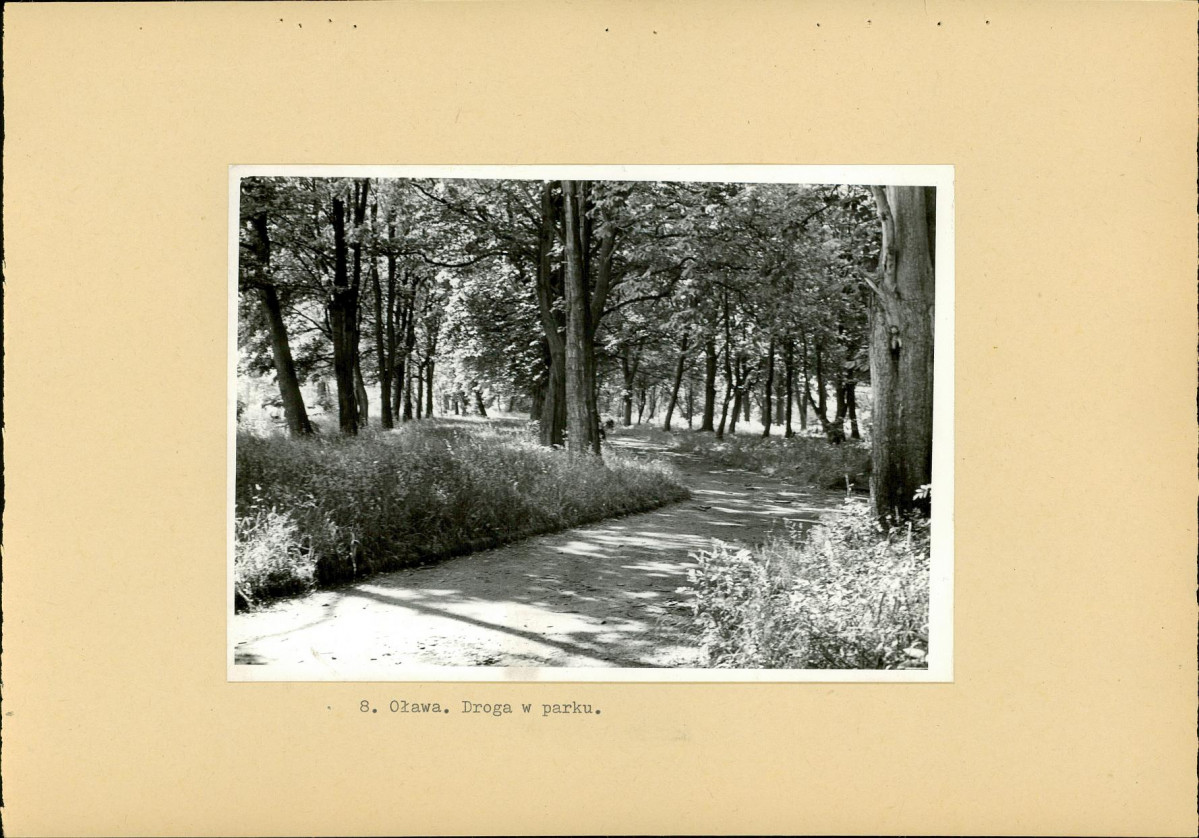 Ewidencja parkowa, skan nr 27