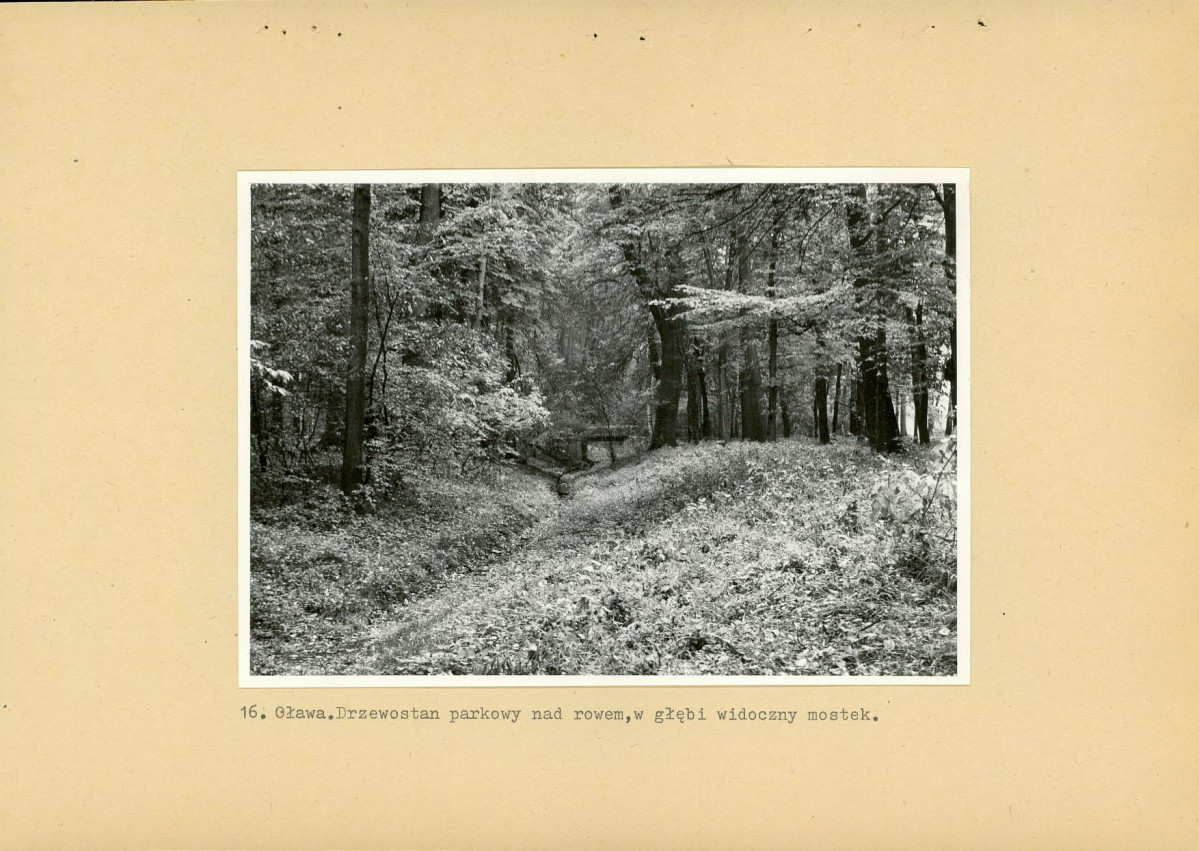 Ewidencja parkowa, skan nr 35