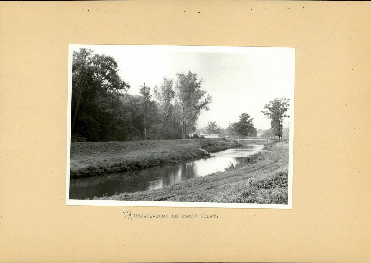Ewidencja parkowa, skan nr 36