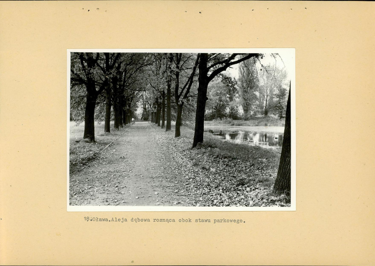 Ewidencja parkowa, skan nr 37