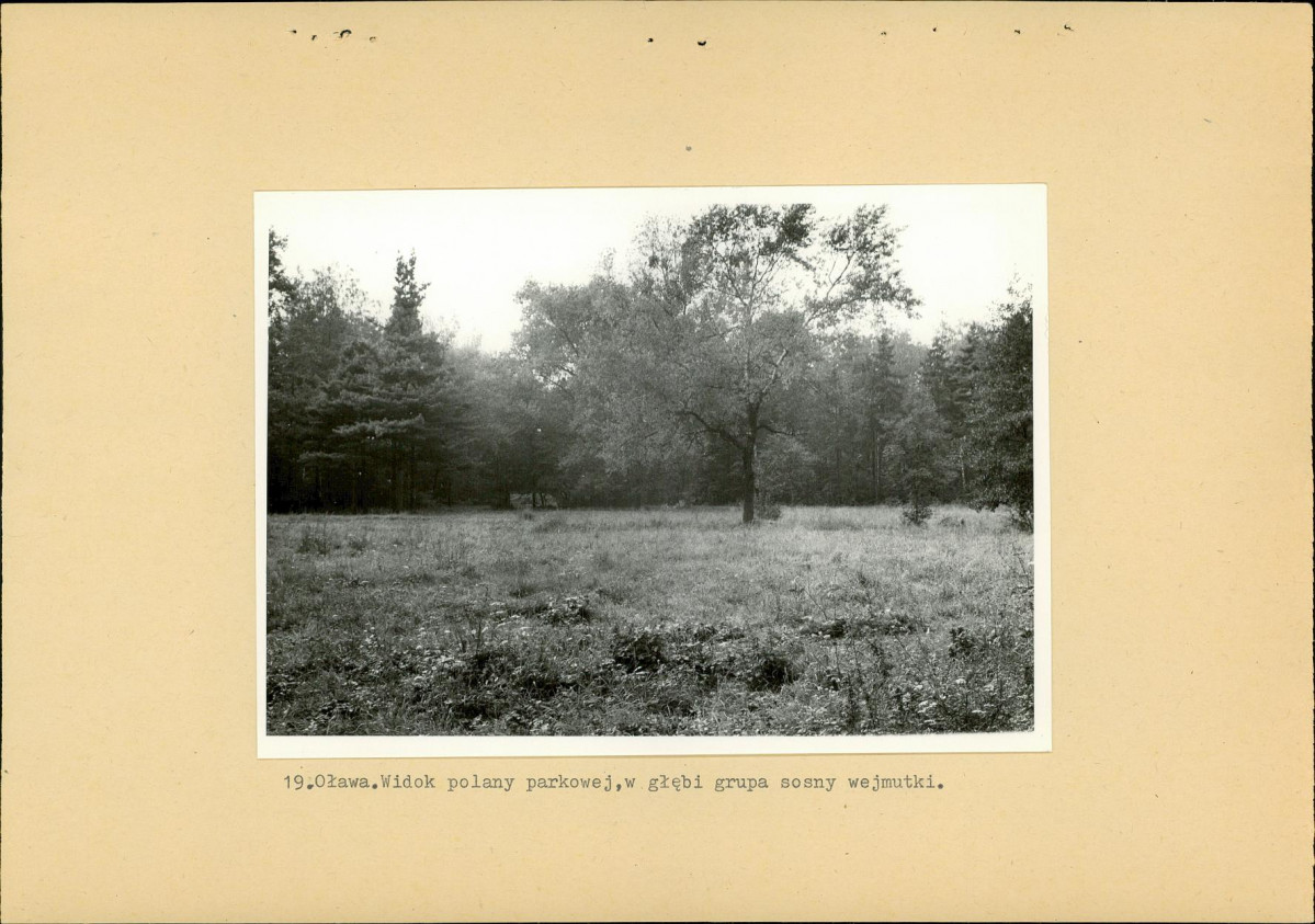 Ewidencja parkowa, skan nr 38