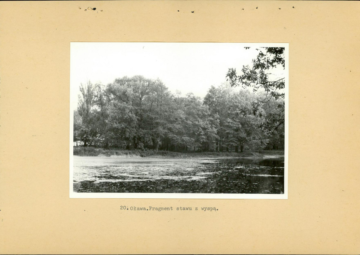 Ewidencja parkowa, skan nr 39
