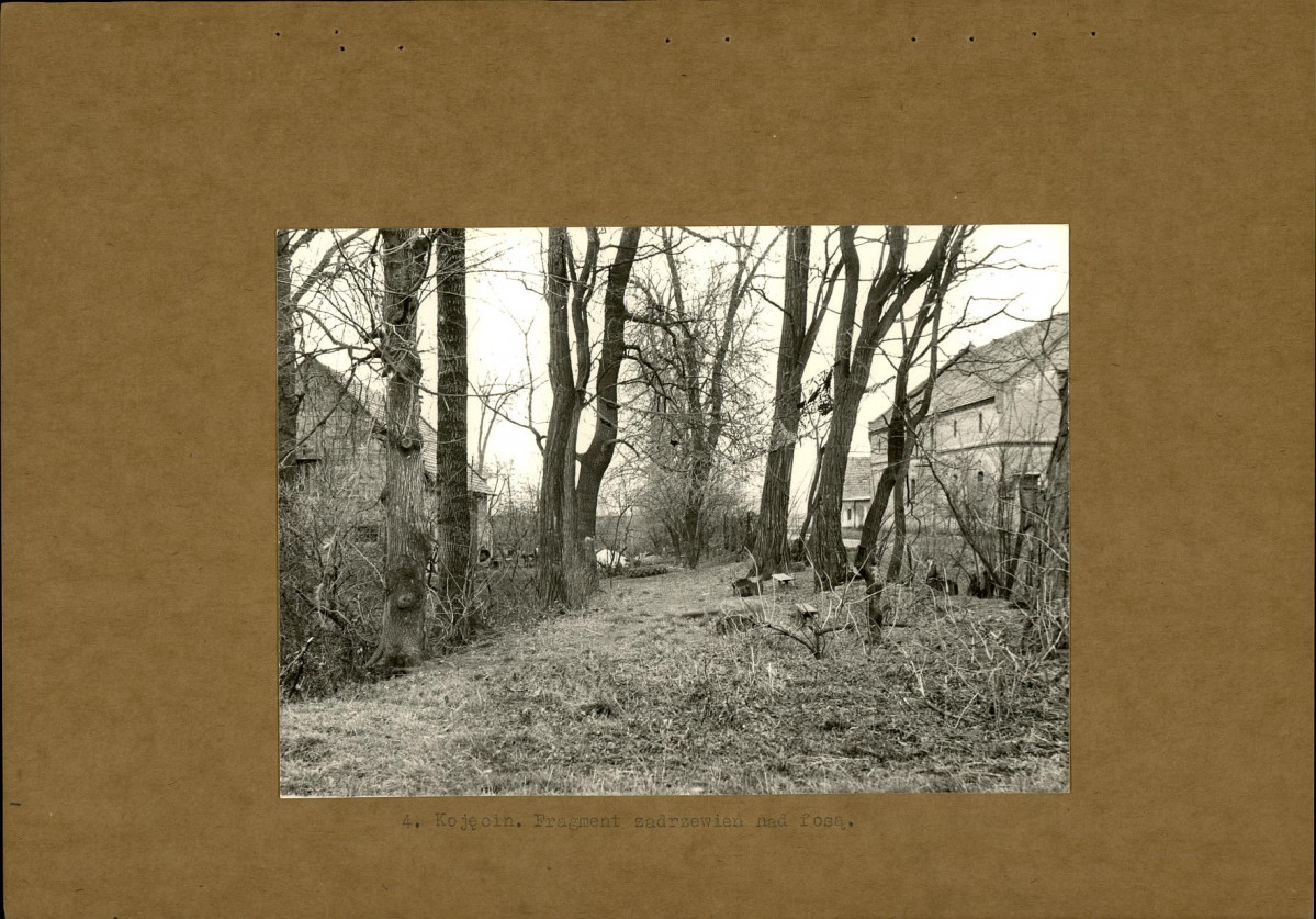 Ewidencja parkowa, skan nr 16