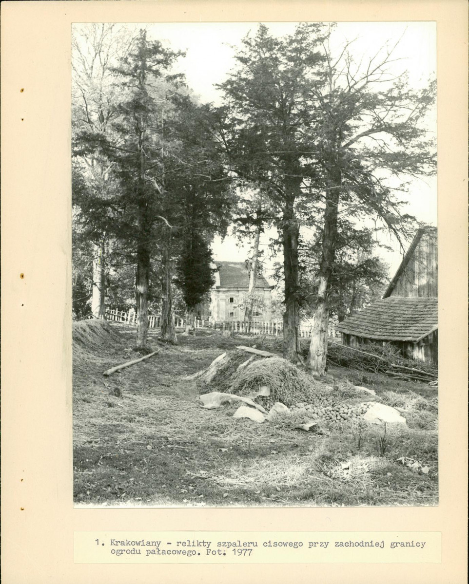 Ewidencja parkowa, skan nr 18