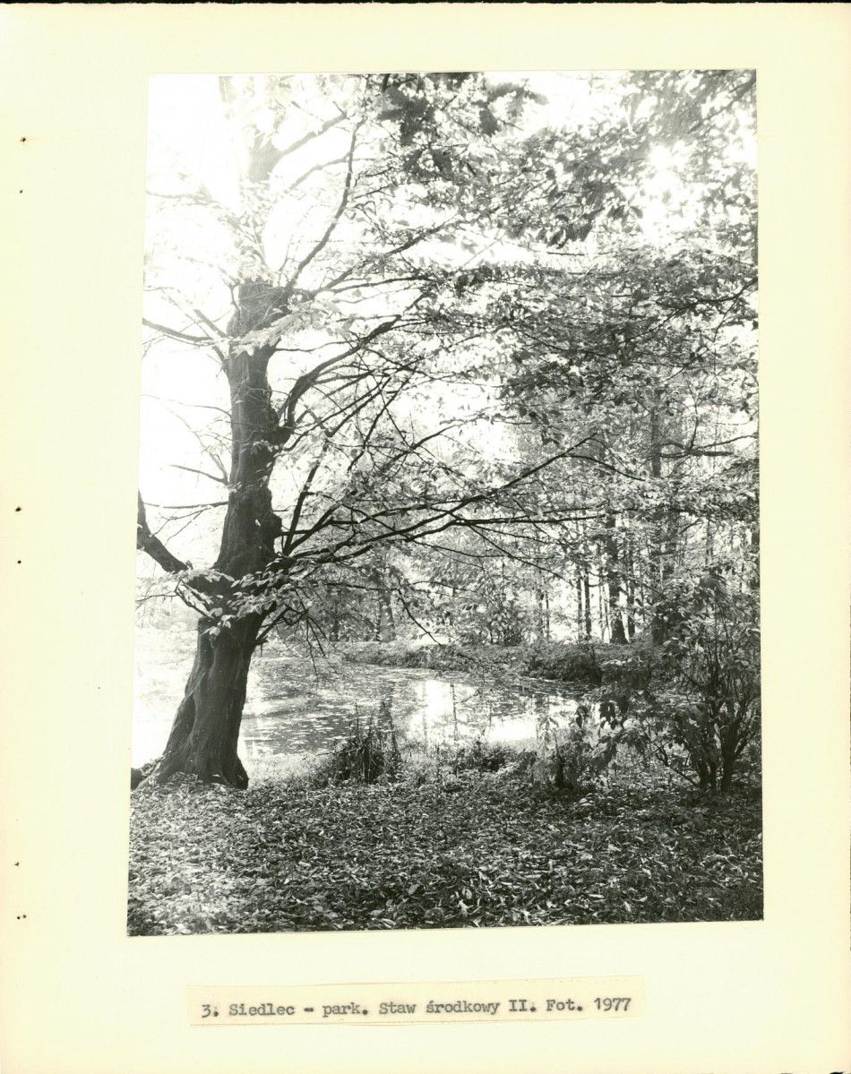 Ewidencja parkowa, skan nr 18