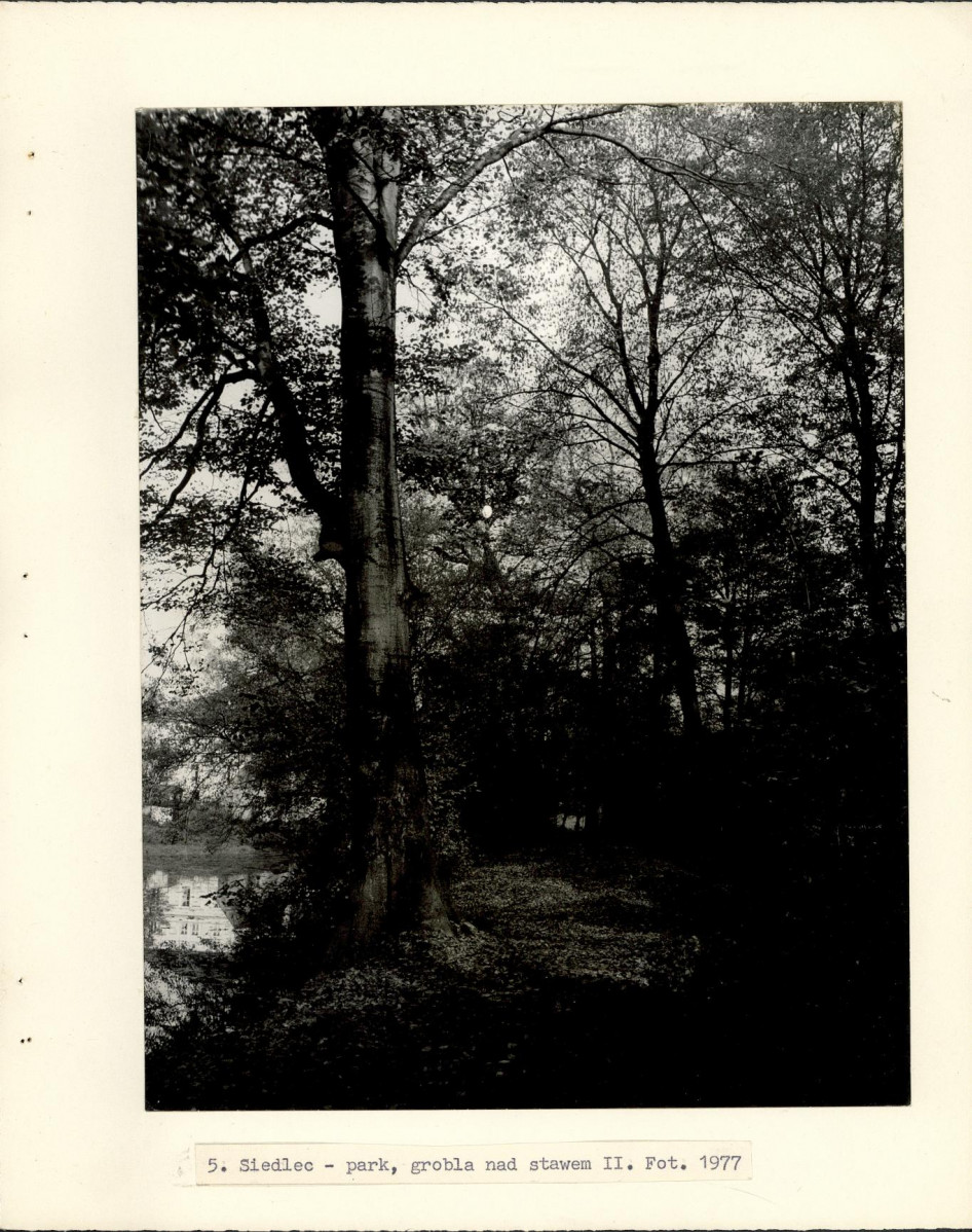 Ewidencja parkowa, skan nr 20