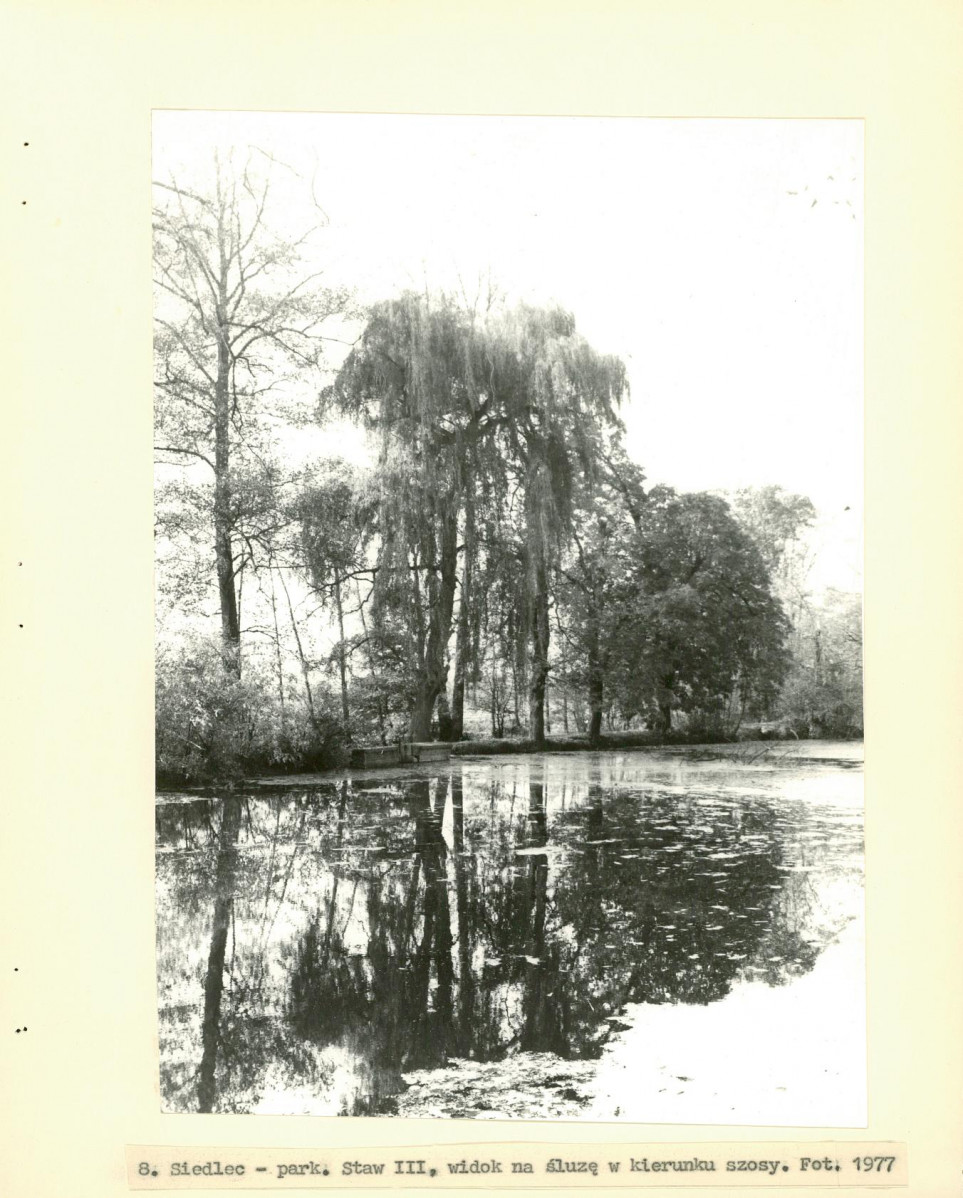 Ewidencja parkowa, skan nr 23