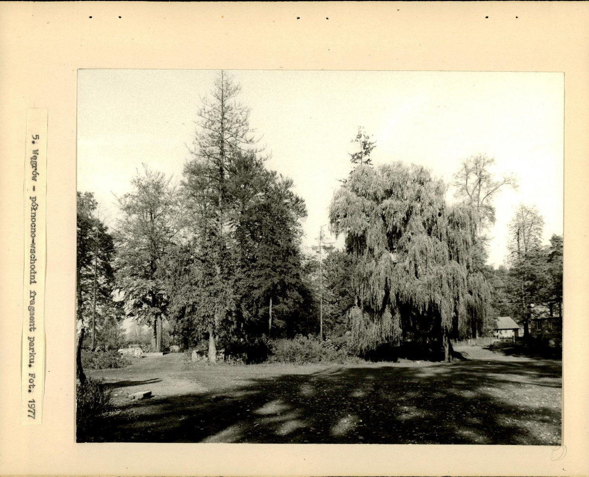 Ewidencja parkowa, skan nr 21