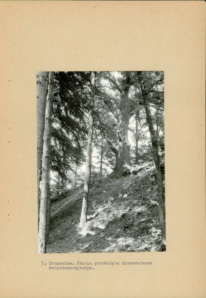Ewidencja parkowa, skan nr 20