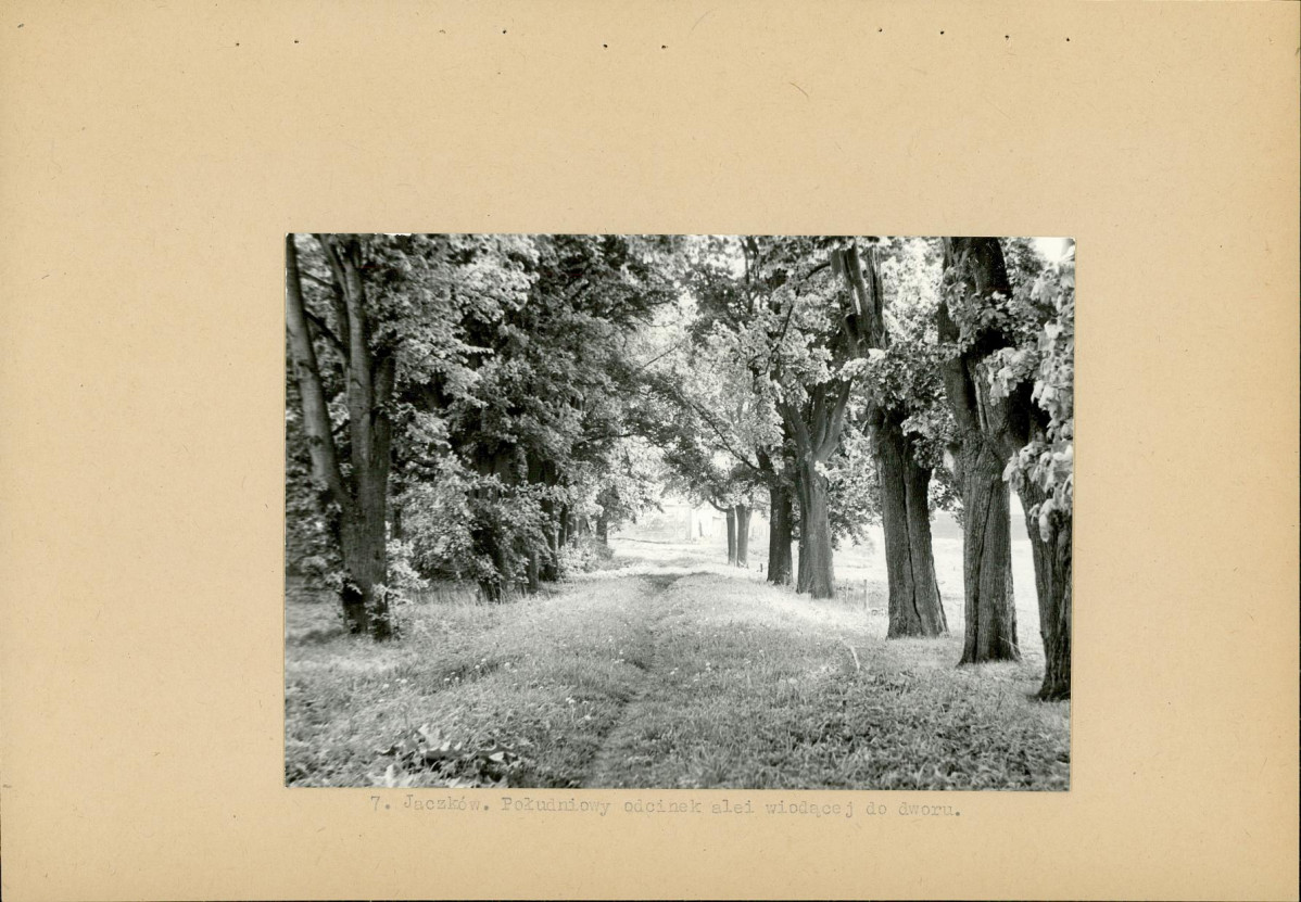 Ewidencja parkowa, skan nr 19