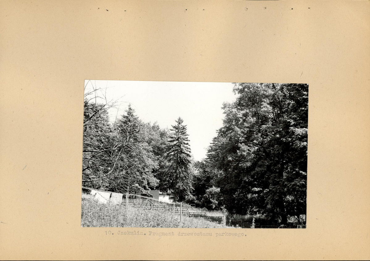 Ewidencja parkowa, skan nr 23