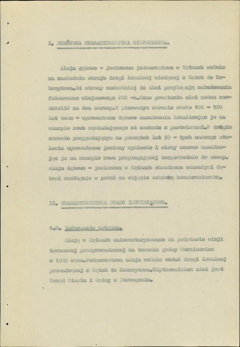 Ewidencja parkowa, skan nr 6