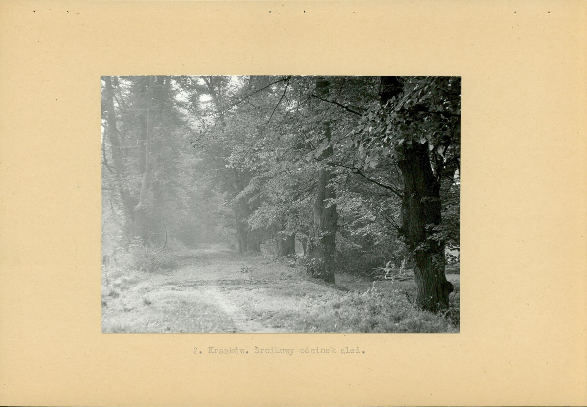 Ewidencja parkowa, skan nr 12