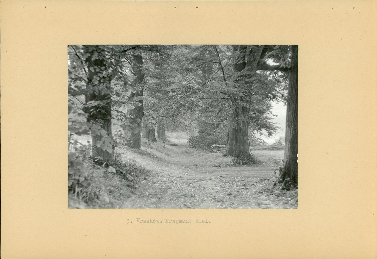 Ewidencja parkowa, skan nr 13