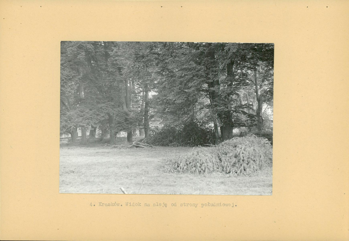 Ewidencja parkowa, skan nr 14