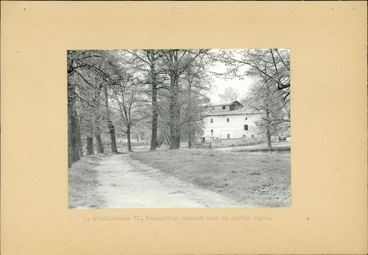 Ewidencja parkowa, skan nr 10