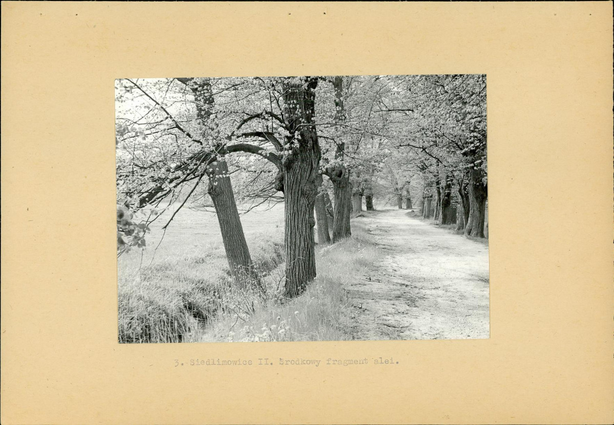 Ewidencja parkowa, skan nr 12