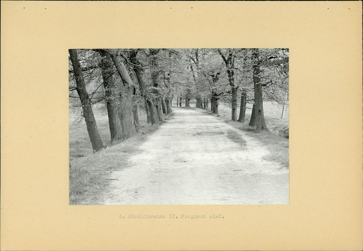 Ewidencja parkowa, skan nr 13