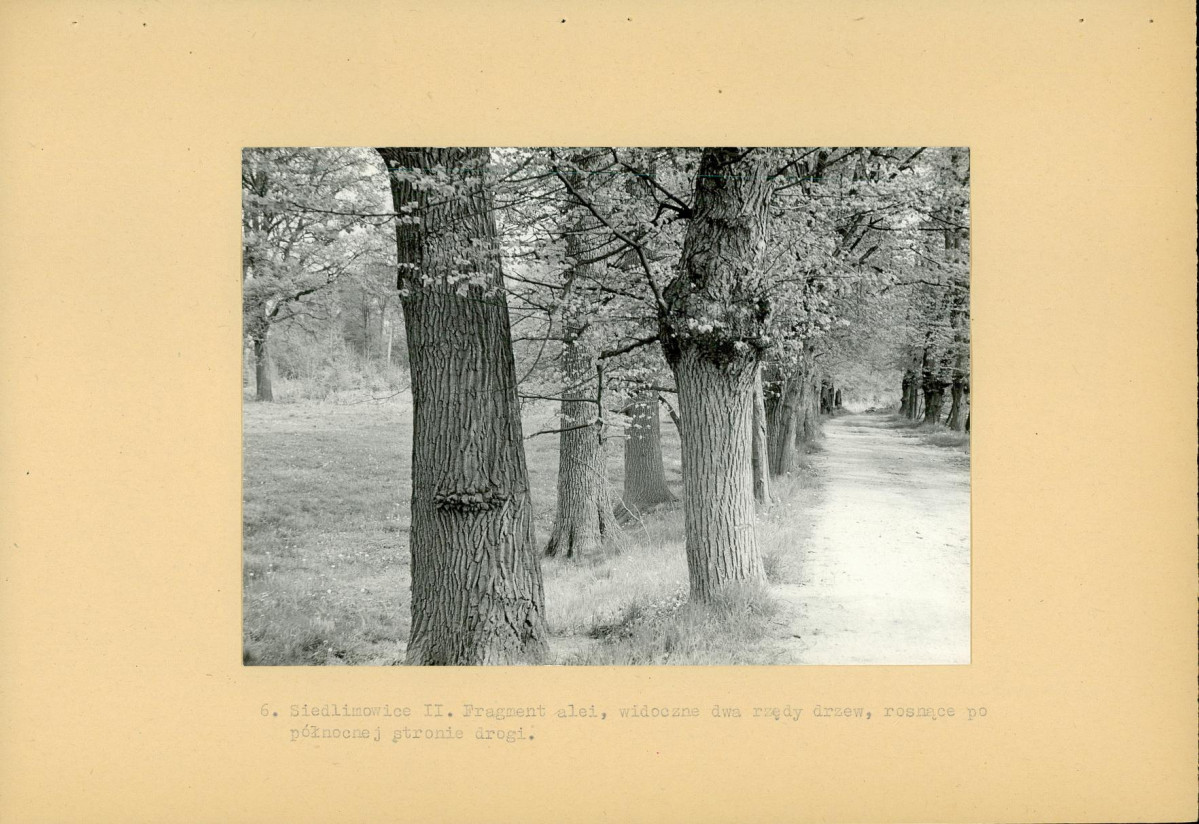 Ewidencja parkowa, skan nr 15