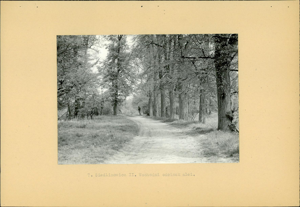 Ewidencja parkowa, skan nr 16