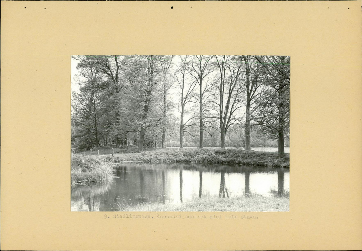 Ewidencja parkowa, skan nr 18