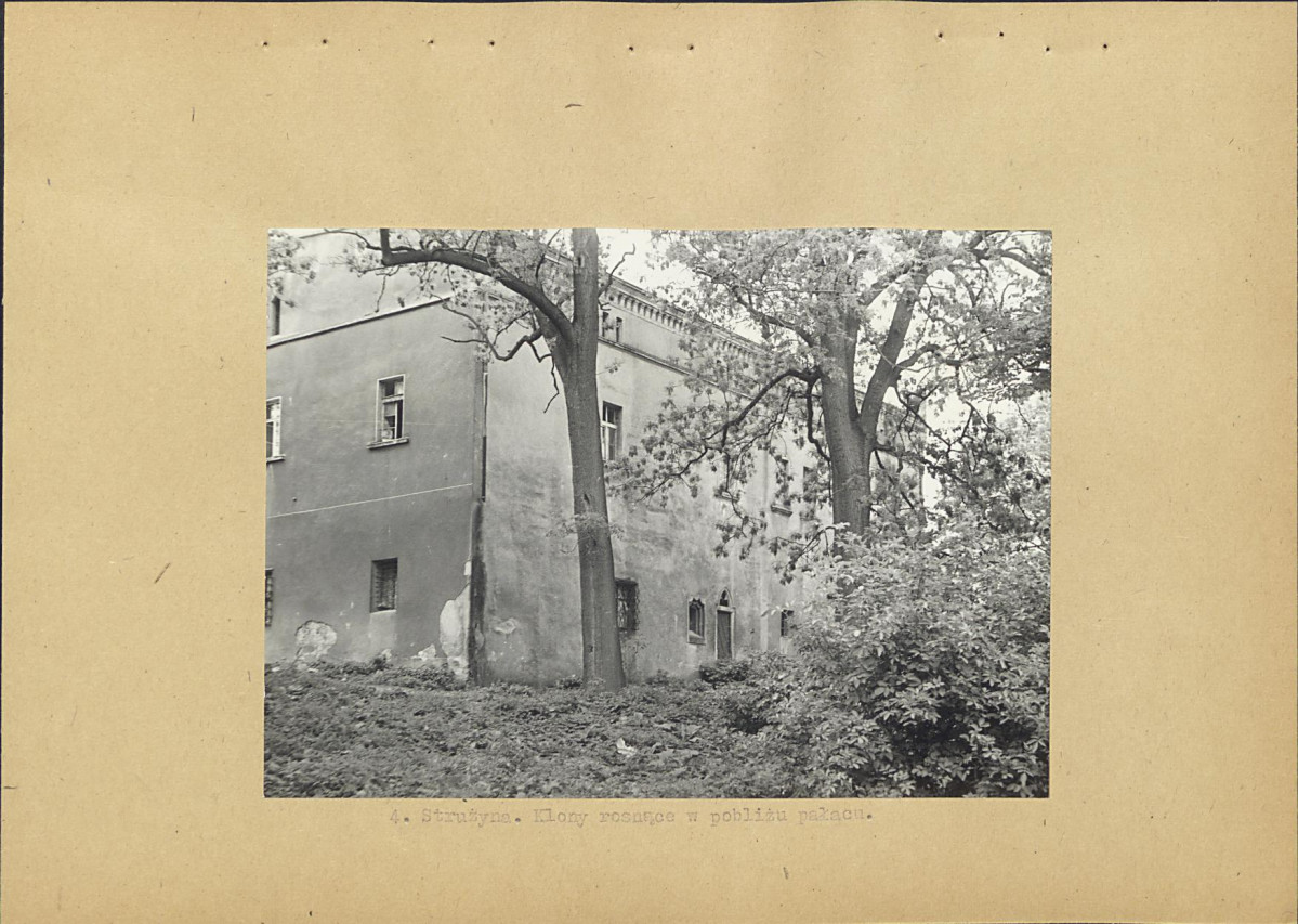 Ewidencja parkowa, skan nr 17