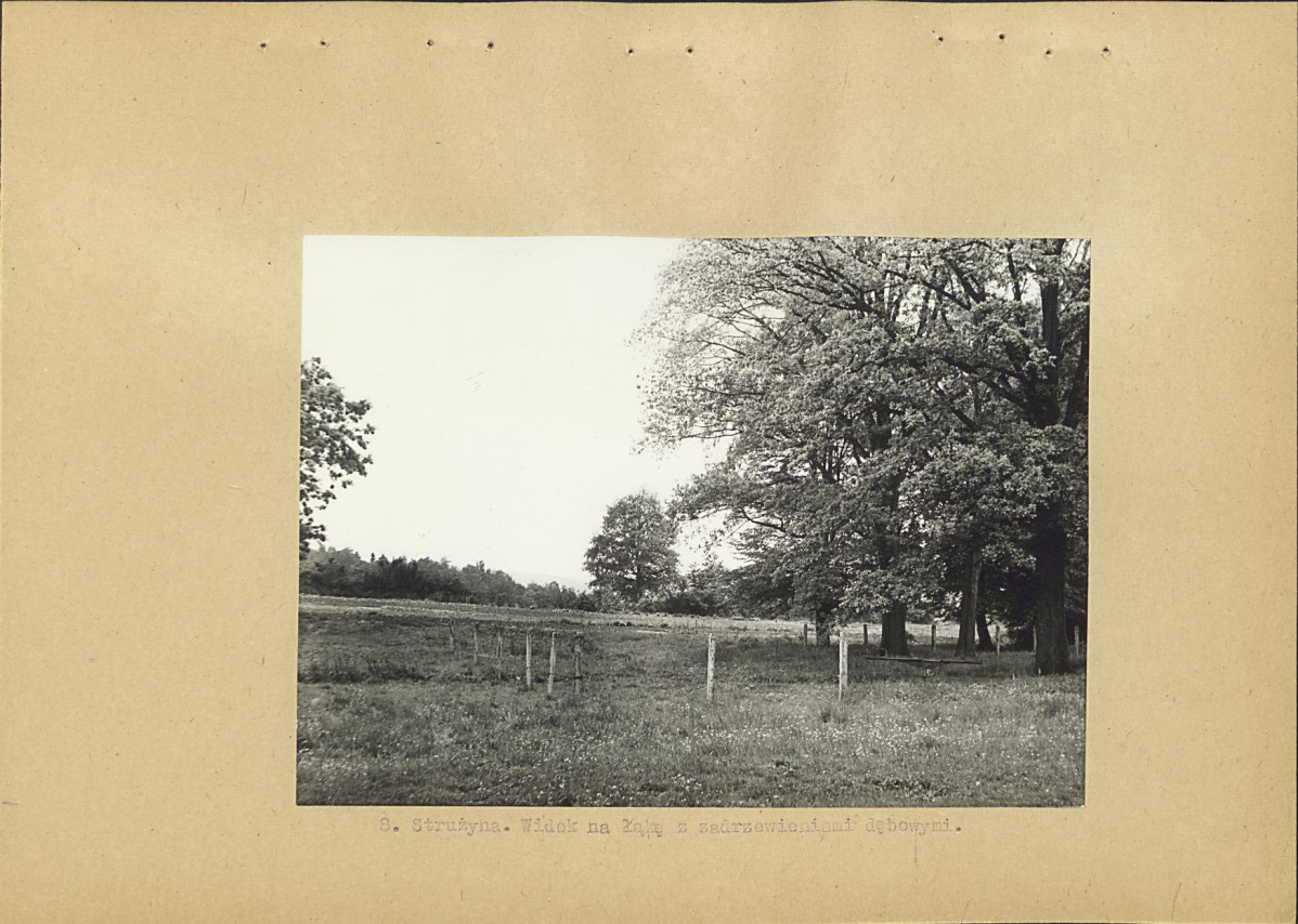 Ewidencja parkowa, skan nr 21