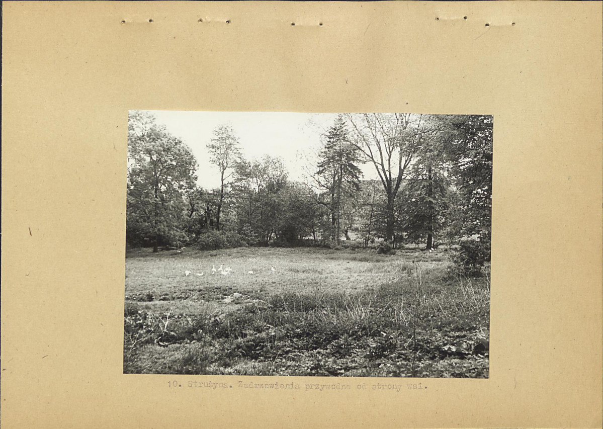 Ewidencja parkowa, skan nr 23