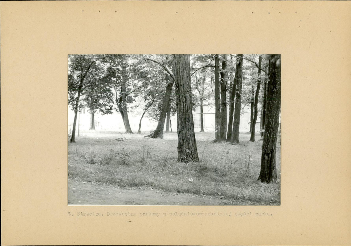 Ewidencja parkowa, skan nr 17