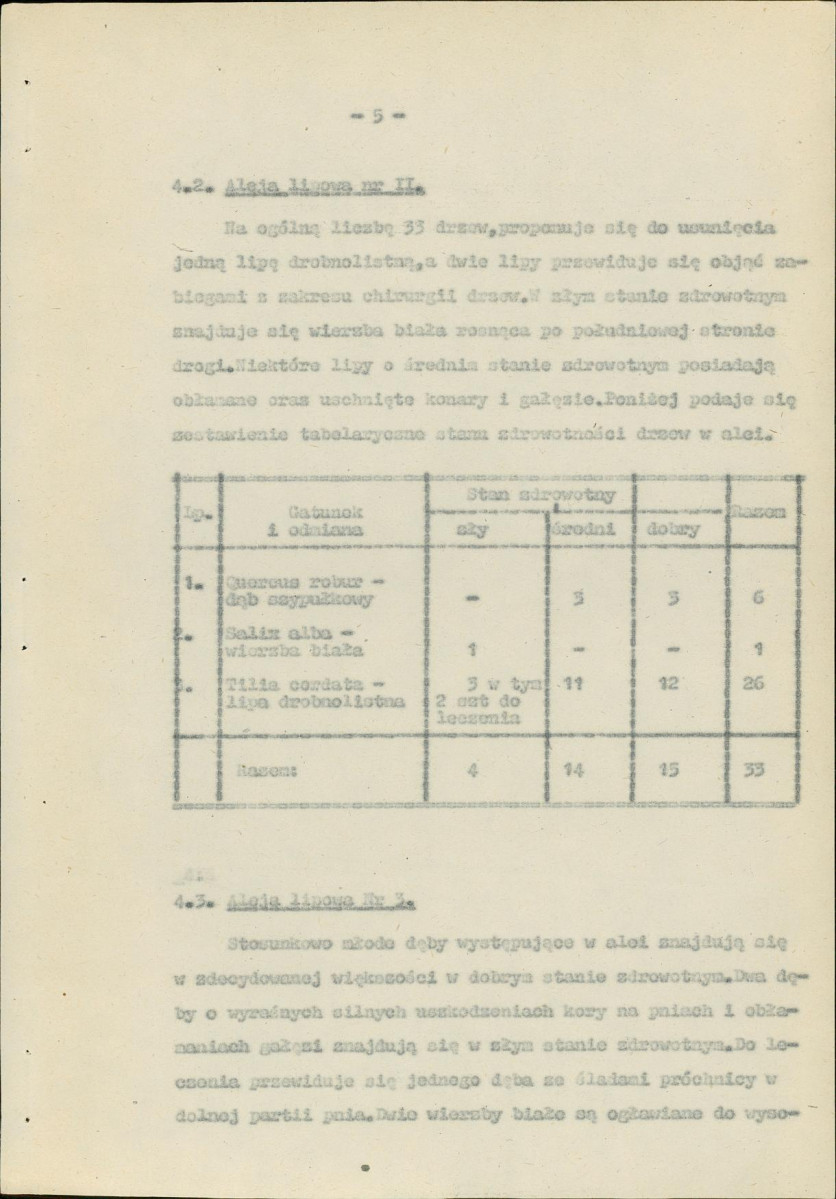 Ewidencja parkowa, skan nr 10